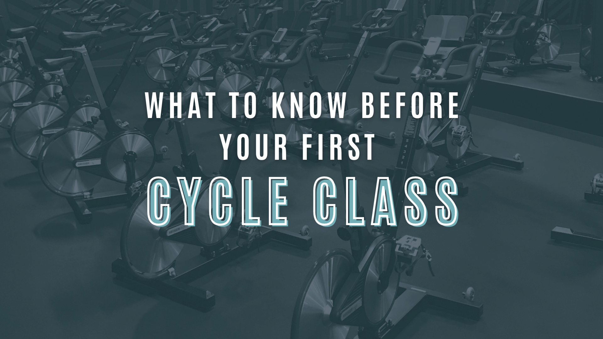 Fitness discount first cycle